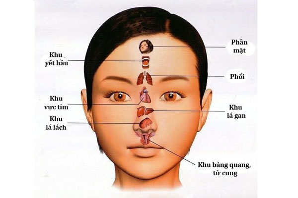 Vọng chẩn là gì? học Vọng Chẩn ở đâu?